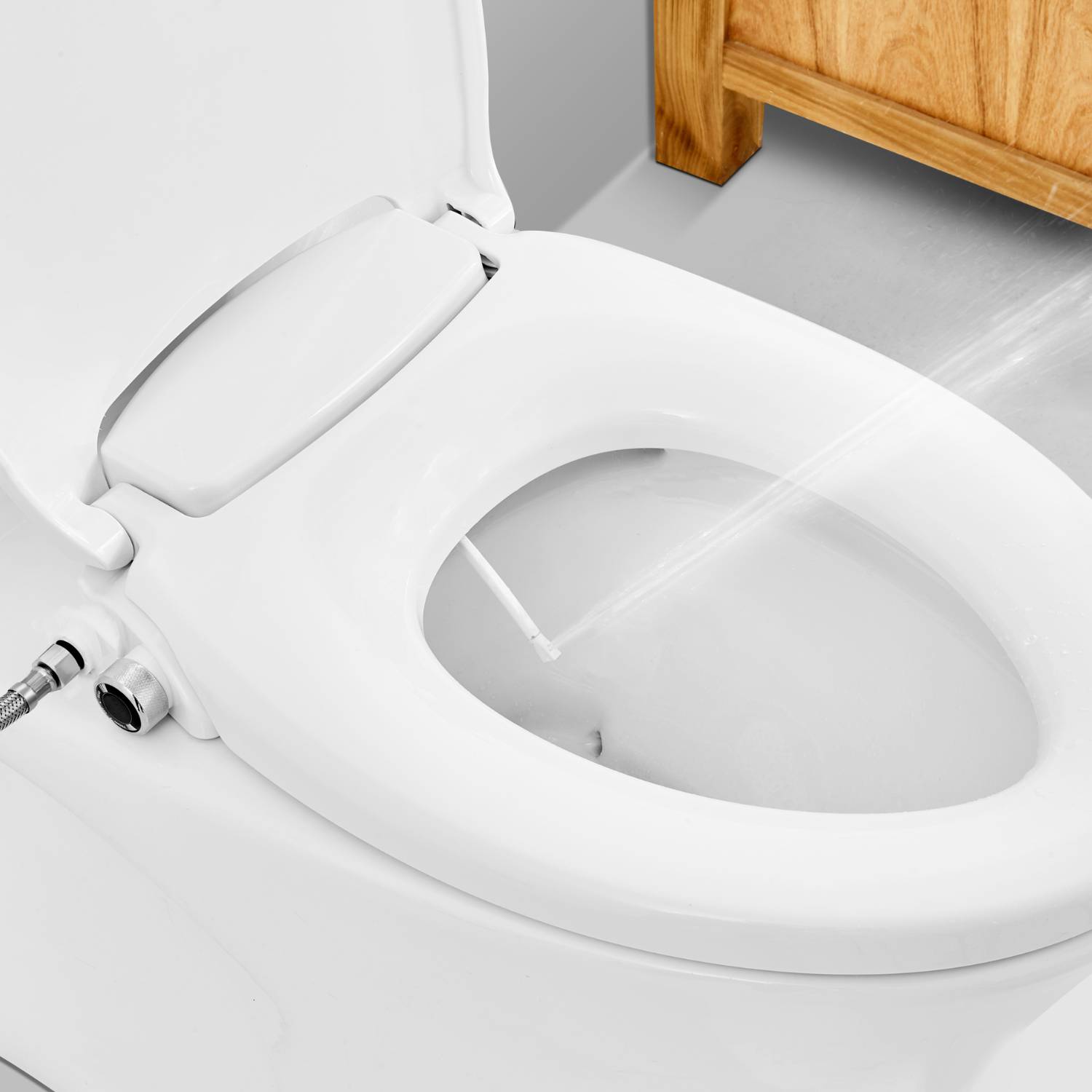 Bidet For The Toilet